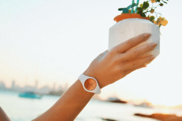 ice watch beach feature